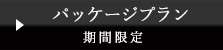 期間限定パッケージプラン