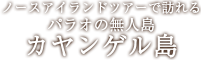 ノースアイランドツアーで訪れるカヤンゲル島